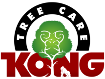 Kong Tree